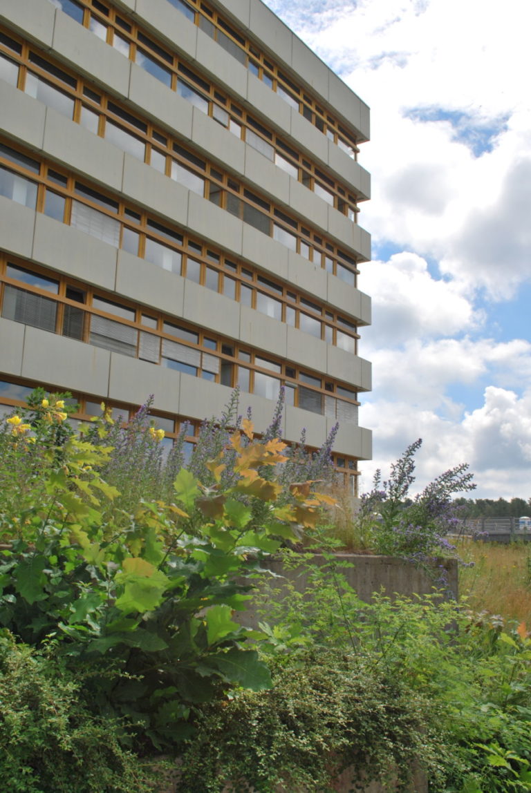 Alle Zeichen auf Neustart!