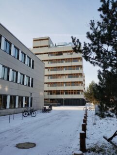 Zum Artikel "Weihnachtspause! Christmas break!"