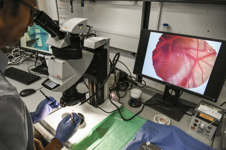 Das Department gratuliert: neues BMBF-Forschungsprojekt am IDC bewilligt